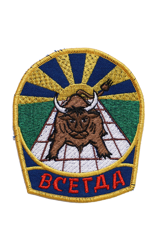 Шеврон эмблема ЛИПЕЦК ШЭ ВСЕГДА 9 х 10,5 см синий