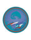 Шеврон BLUE PHOENIX пилотажная группа круглый 9,7 см голубой